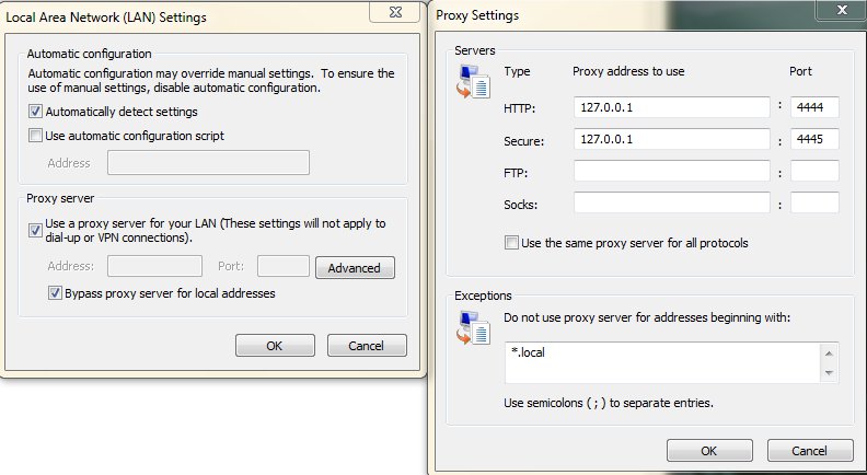 IE Proxy Settings IE Proxy Settings